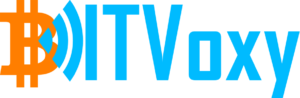BITVoxy logo
